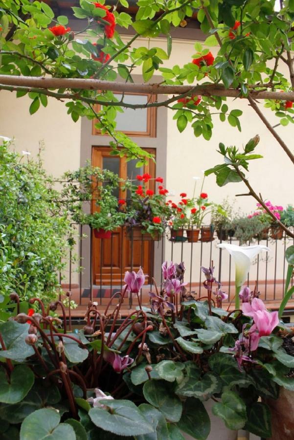 Faenza Novella Florença
