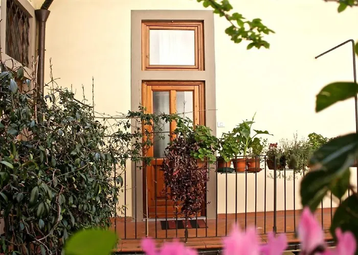 Faenza Novella